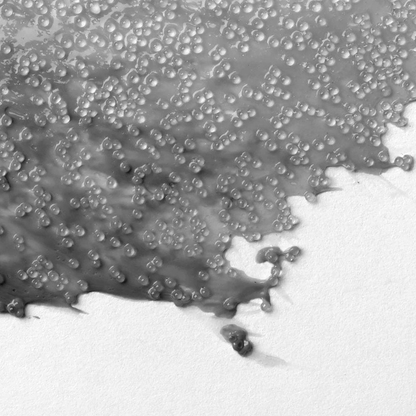 Liquitex Effects Medium 237ml Glass Beads Textured image 4