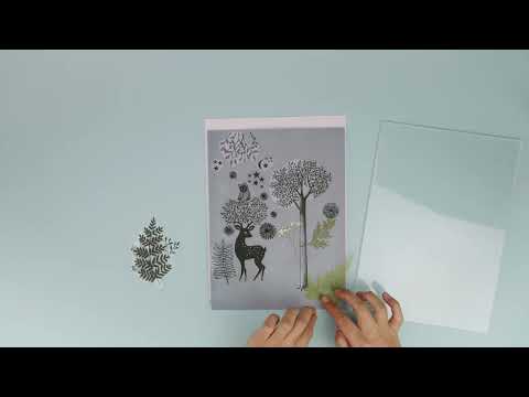 Djeco - Cyanotype Starter Kit image 2