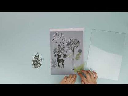 Djeco - Cyanotype Starter Kit image 2