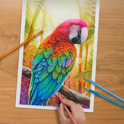 PRISMACOLOR Pencil Set of 24 - Highlights & Shadows image 2
