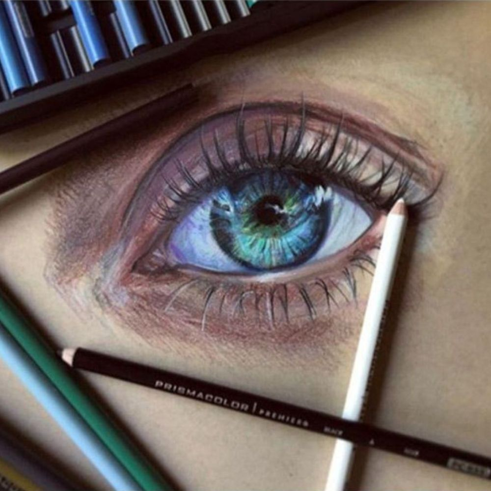PRISMACOLOR Pencil Set of 24 - Portrait image 4