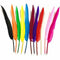 Educational Colours Bright Quill Feathers 60g