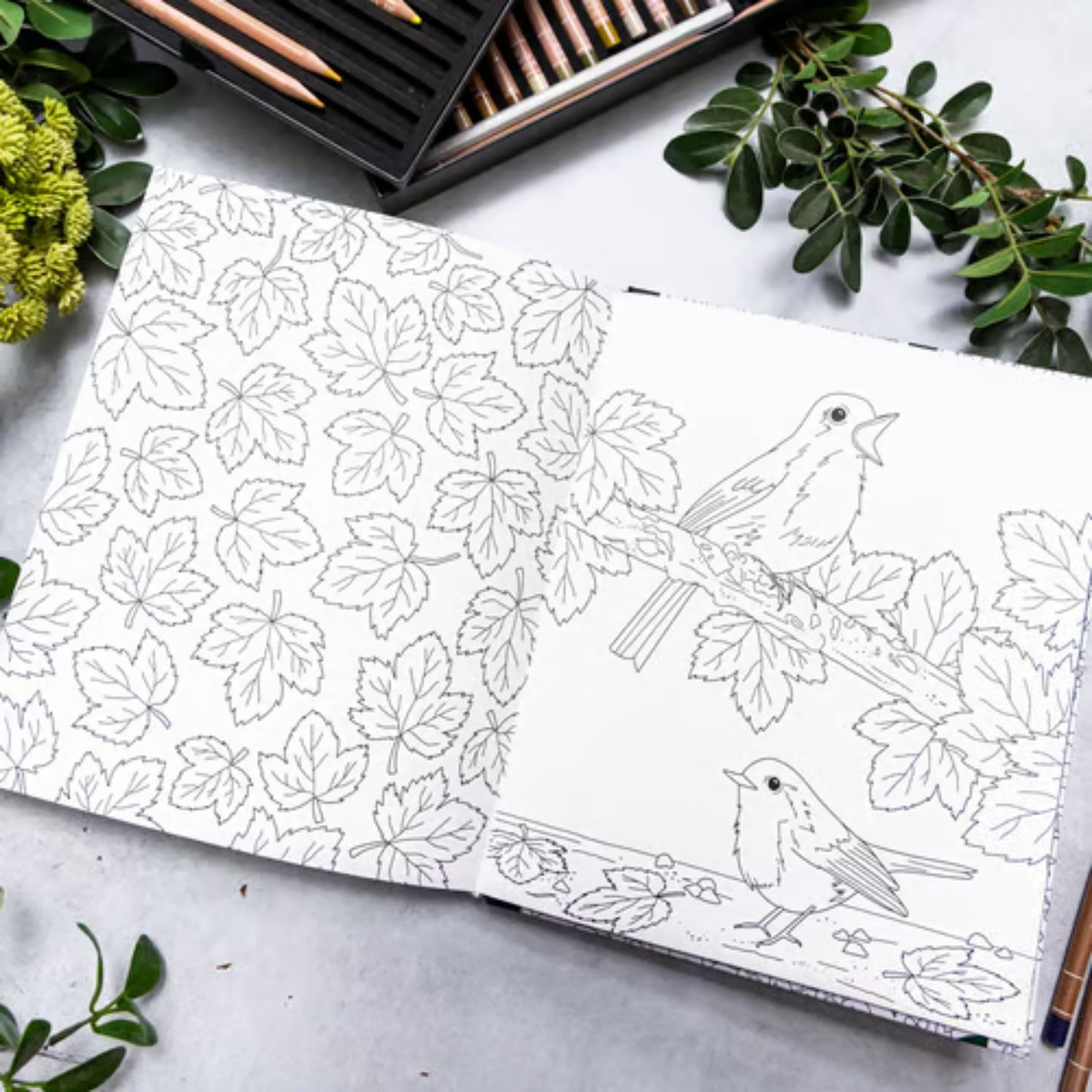 Vibrant Wilds Adult Colouring Book by Sarah Renae Clark image 7