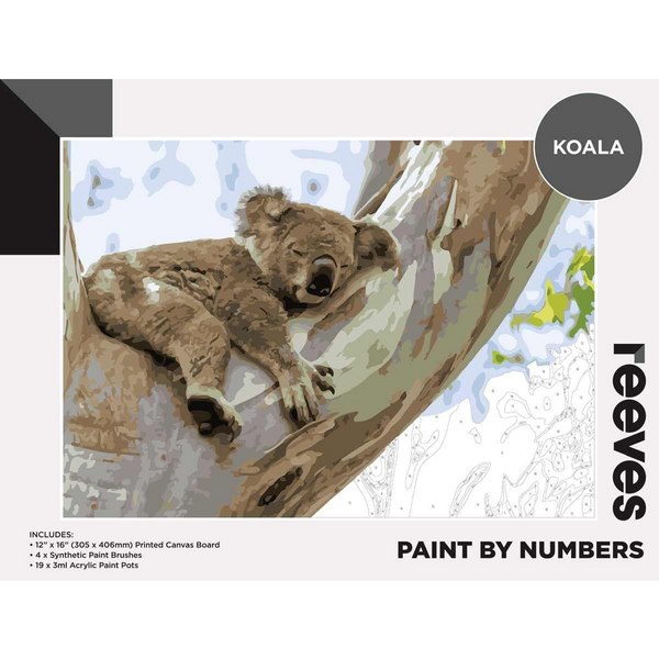 Reeves Paint By Numbers 12x16 inch - Koala