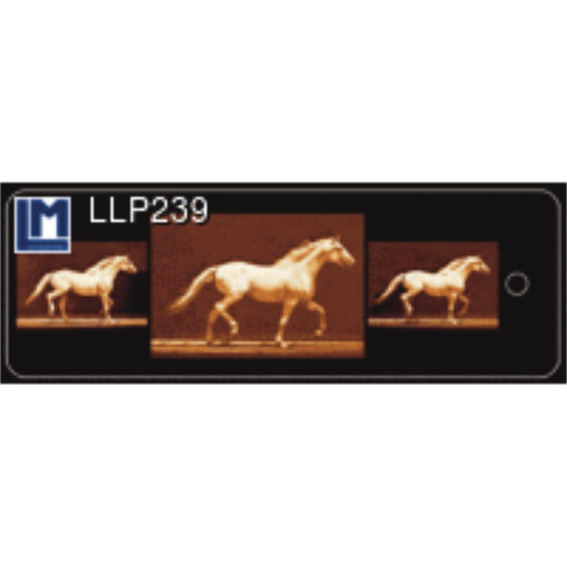Lenticular Animation Bookmark - Muybridge Running Horse