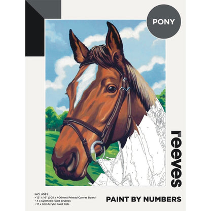 Reeves Paint By Numbers 12x16 inch - Pony Default Title