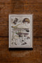 Pattern Book Gift Card - Fungi